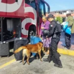 Binomios K-9 de la Guardia Estatal refuerzan la seguridad en Central de Autobuses de Ciudad Victoria
