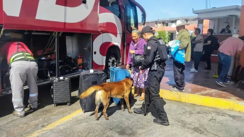 Binomios K-9 de la Guardia Estatal refuerzan la seguridad en Central de Autobuses de Ciudad Victoria
