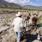 Reconocen talento de estudiantes tamaulipecas en el Concurso Nacional de Fotografía de los Telebachilleratos Comunitarios