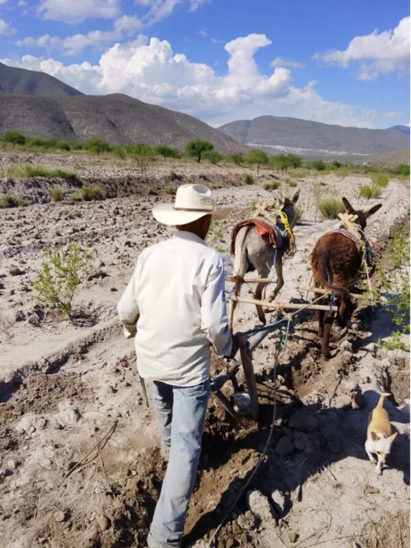 Reconocen talento de estudiantes tamaulipecas en el Concurso Nacional de Fotografía de los Telebachilleratos Comunitarios