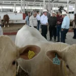 Concluye Programa de Mejoramiento Genético 2026 en la Feria Tamaulipas