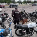 Realiza el Agrupamiento Canino de la Guardia Estatal inspección preventiva en el ITACE Victoria