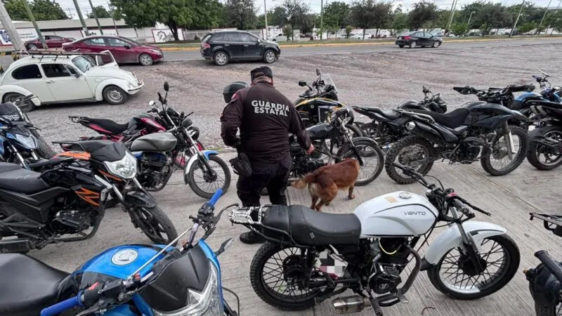 Realiza el Agrupamiento Canino de la Guardia Estatal inspección preventiva en el ITACE Victoria